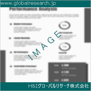 グローバルリサーチ調査資料のイメージ